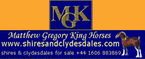 Matthew Gregory King, Shires & Clydesdales, UK