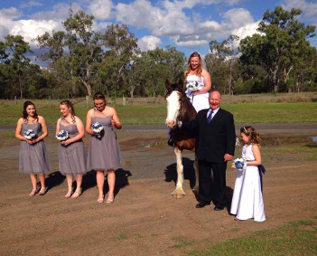 clydesdale wedding