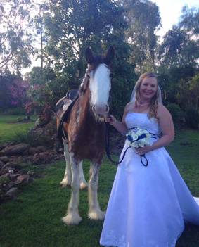 horsey wedding ridden