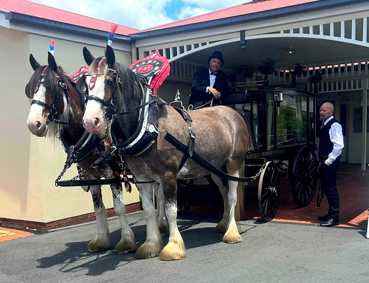 clydesdale funeral carriage